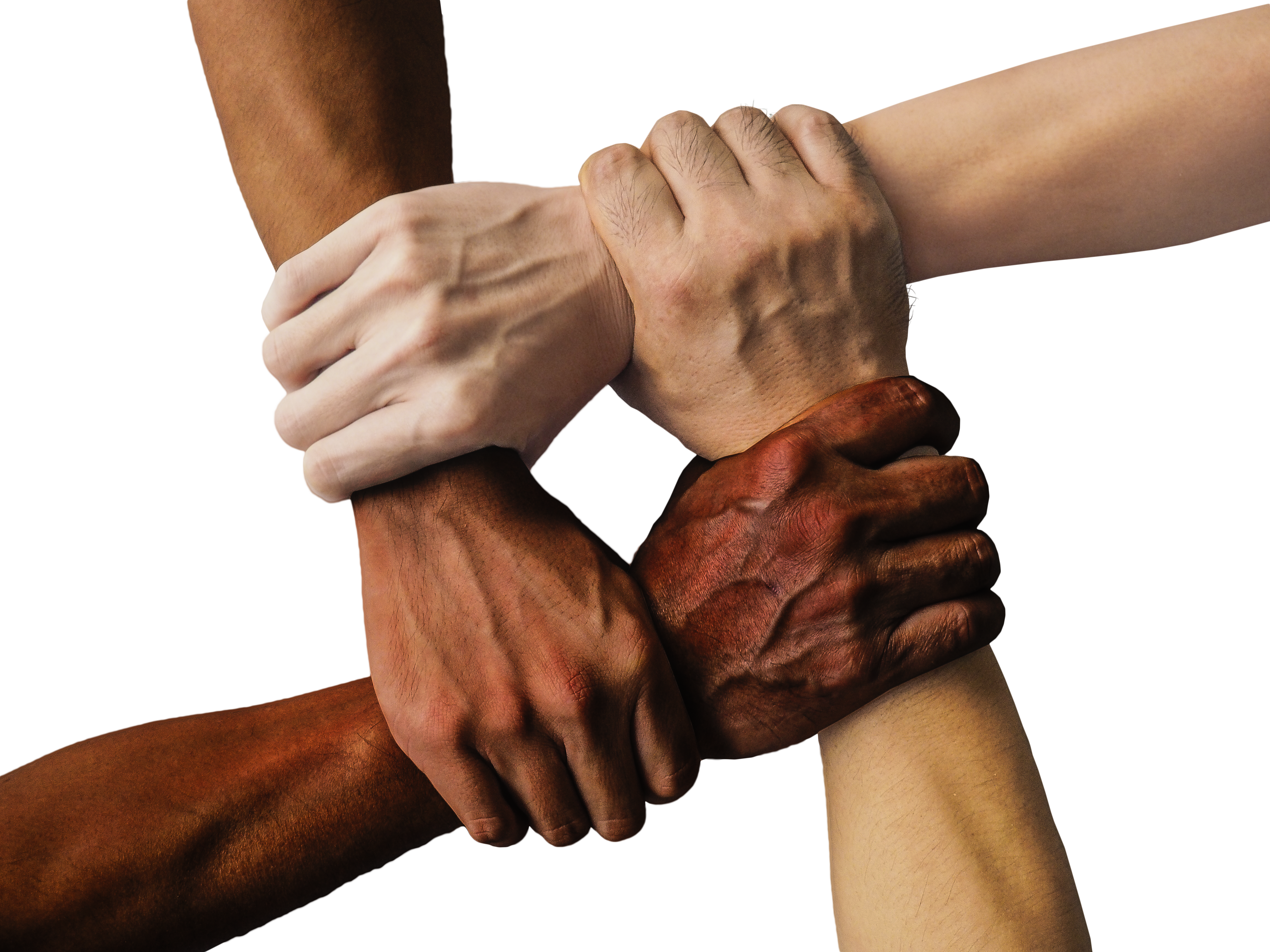 Coopérative agricole — agriculteurs et récolte collective